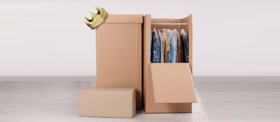 Easy Moves Best Wardrobe Boxes For Packing Clothes